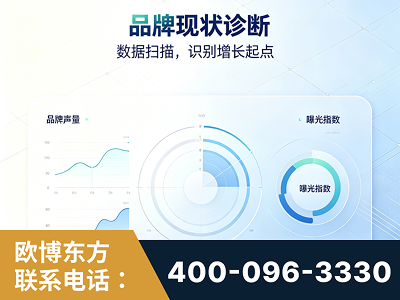 温州-品牌现状诊断