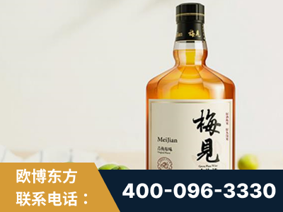 温州-梅见青梅酒